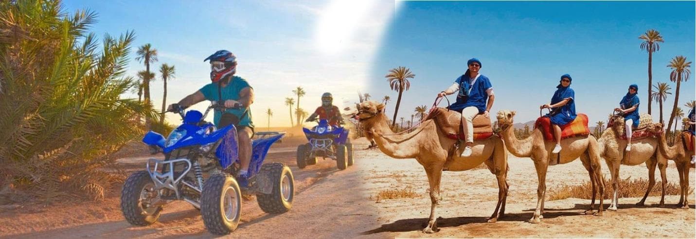 Camel Ride & Quad Excursion
