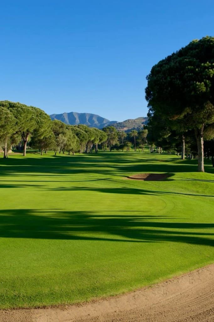 Golf & Atlas Views