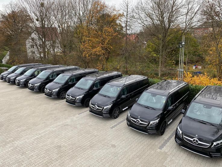 Adam City Tours Mercedes-Benz V-Class fleet lined up at a private estate